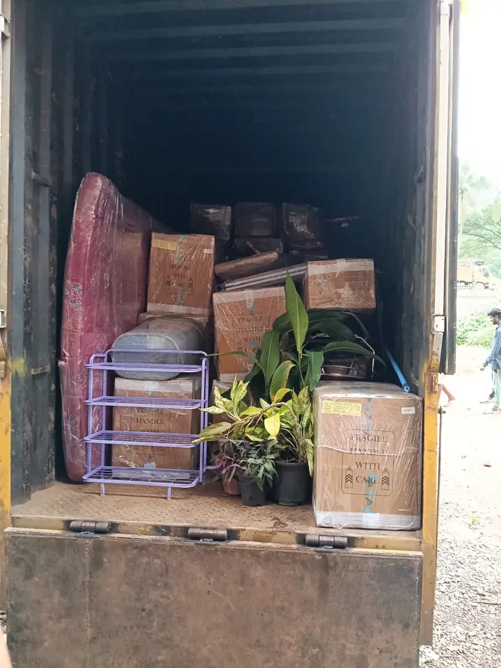 A potted plant standing among packed household items at the rear of a cargo vehicle.